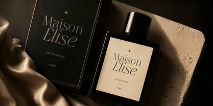 Qlaxe Serif Font Poster 2