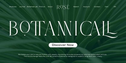 Qlaxe Serif Font Poster 11