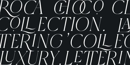 Qlaxe Serif Font Poster 12