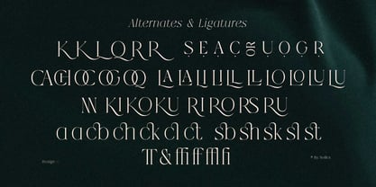 Qlaxe Serif Font Poster 14