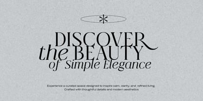 Qlaxe Serif Font Poster 9