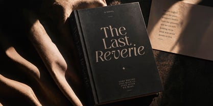 Qlaxe Serif Font Poster 4