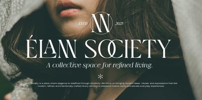 Qlaxe Serif Font Poster 6
