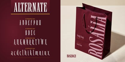 Boserich Font Poster 6