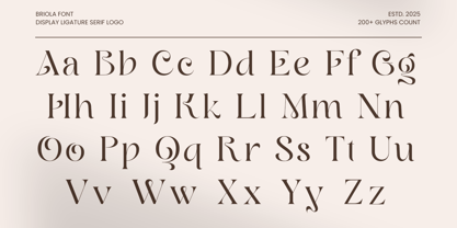 Briola Font Poster 10