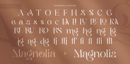 Briola Font Poster 9