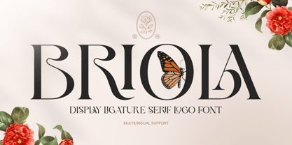 Briola Font Poster 1