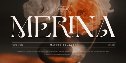 Briola Font Poster 3