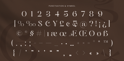 Briola Font Poster 11