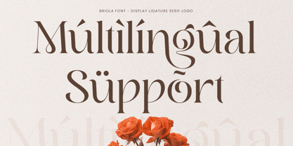 Briola Font Poster 12