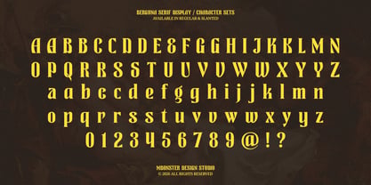 Berguna Font Poster 9