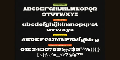 Bront Olo Font Poster 7