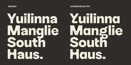 Sorpant Font Poster 4