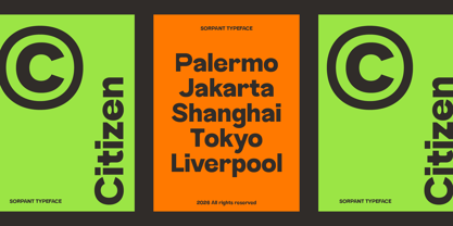 Sorpant Font Poster 5