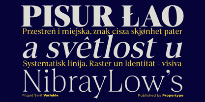 Fitgad Font Poster 7