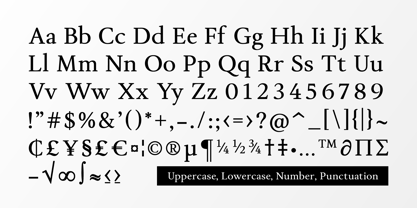 Althera Font Poster 13