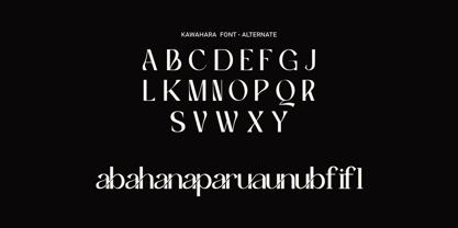 Kawahara Font Poster 3
