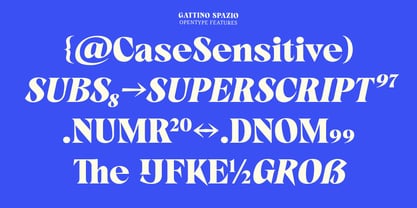 Gattino Spazio Font Poster 10