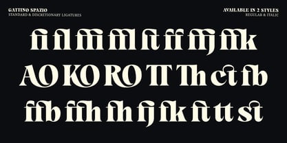 Gattino Spazio Font Poster 11