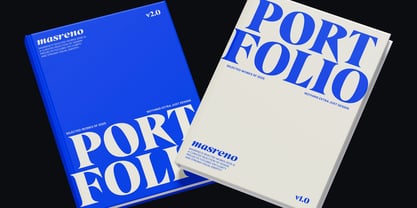Gattino Spazio Font Poster 6