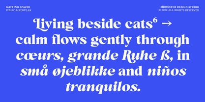 Gattino Spazio Font Poster 2