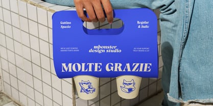 Gattino Spazio Font Poster 15