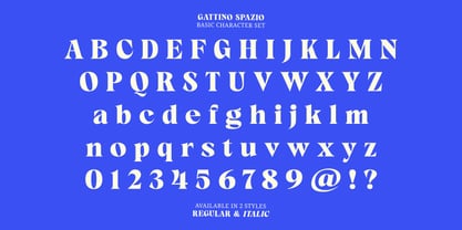 Gattino Spazio Font Poster 13