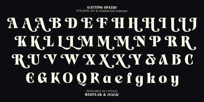 Gattino Spazio Font Poster 14