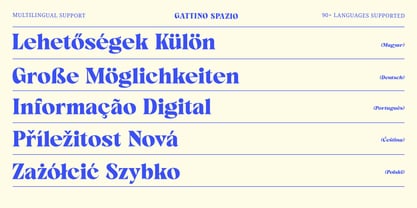 Gattino Spazio Font Poster 12