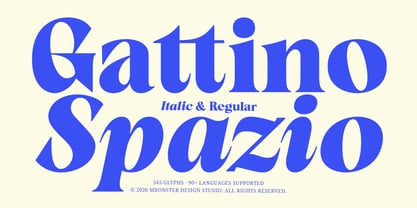Gattino Spazio Font Poster 1