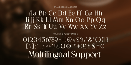 Armora Gallery Font Poster 13