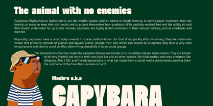 Khattalib Font Poster 3