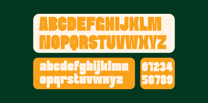 Khattalib Font Poster 4