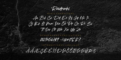 Roadpunks Font Poster 5