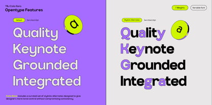 TBJ Cota Sans Font Poster 12
