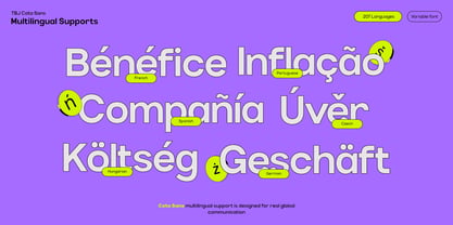TBJ Cota Sans Font Poster 15