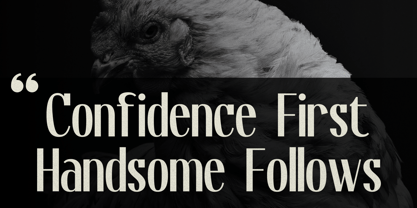 Focsio Font Poster 6