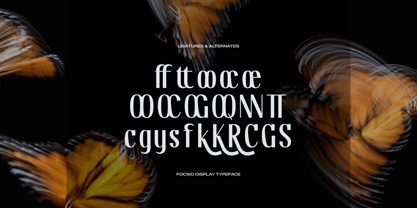 Focsio Font Poster 12