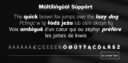 Foermality Sans Pro Font Poster 8