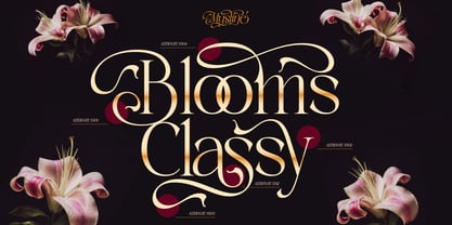 Musline Font Poster 9