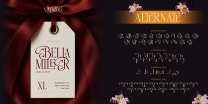 Musline Font Poster 7