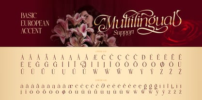 Musline Font Poster 11