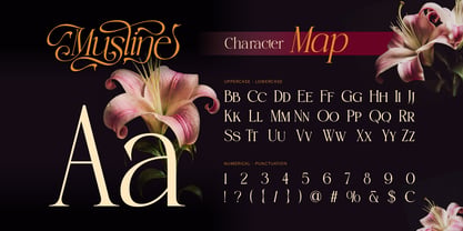 Musline Font Poster 2