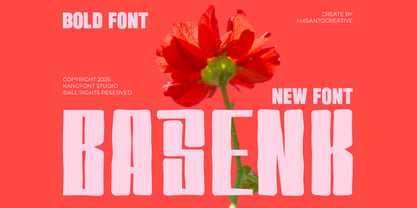 Basenk Font Poster 1
