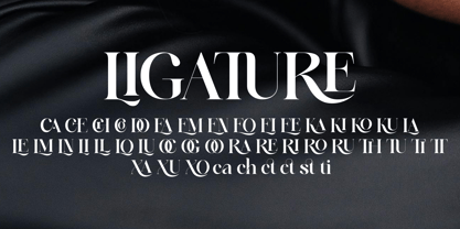 Alqest Font Poster 7