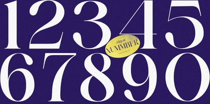 Alqest Font Poster 11