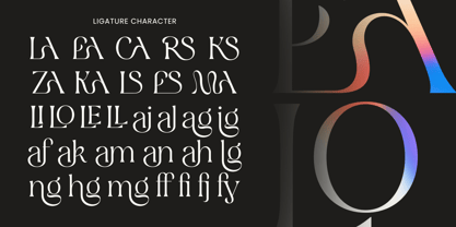 Clarsen Font Poster 11