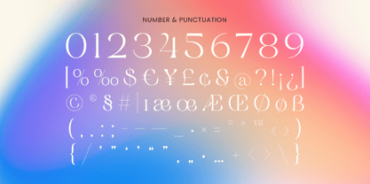 Clarsen Font Poster 13