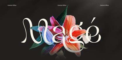 Clarsen Font Poster 2