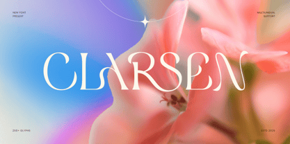 Clarsen Font Poster 1
